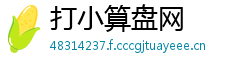 打小算盘网